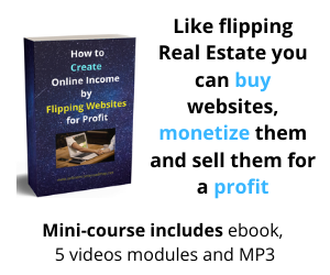 Flipping Websites for profit